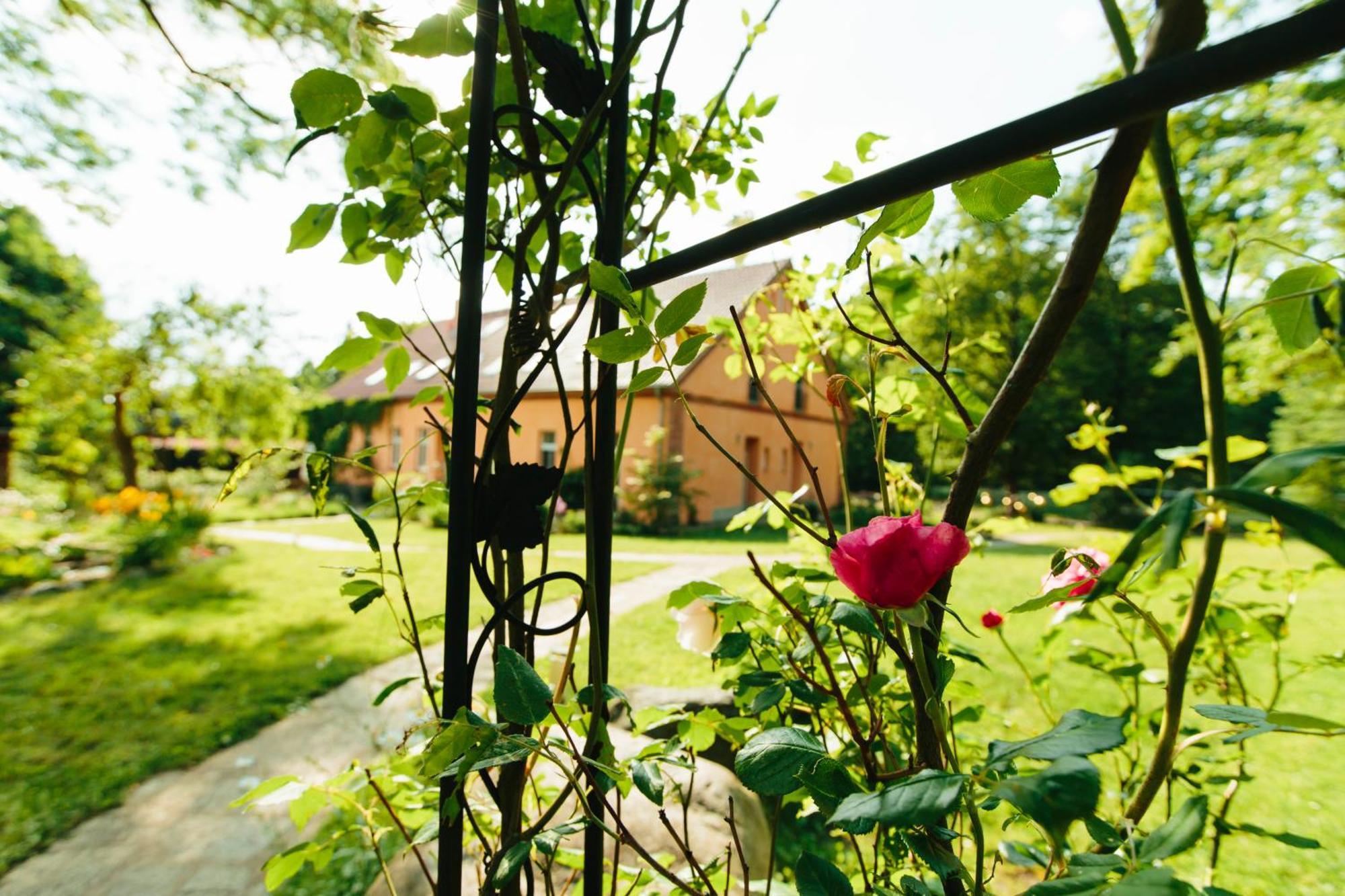Feriendomizil Alter Garten Temmen-Ringenwalde Εξωτερικό φωτογραφία